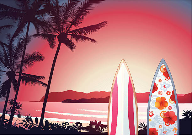 Tropical sunset Tropical sunset with surfboards. big island hawaii islands stock illustrations
