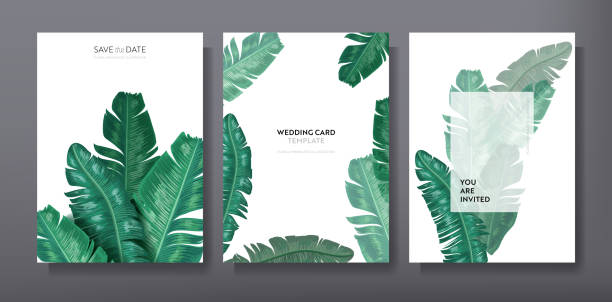 Tropical trendy greeting or invitation card template design, set of poster, flyer, brochure, cover, party advertisement, dark green palm leaves in vector  tropical pattern stock illustrations