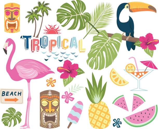 Tropical Vector Collection A vector illustration of Tropical vector collection set. Perfect for Tropicana theme, summer holiday, card and many more. cocktail clipart stock illustrations