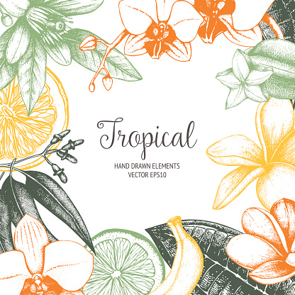 Tropical vector design