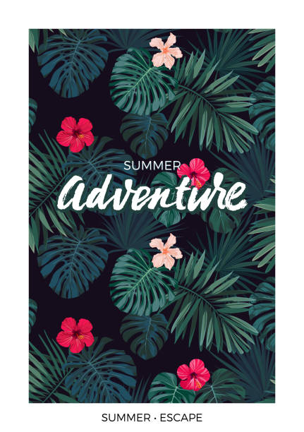 Hawaiian Post Card Illustrations, Royalty-Free Vector Graphics & Clip