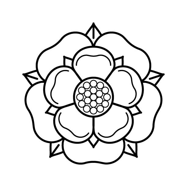 Tudoe rose of Englnd vector illustration. Tudor rose vector isolated icon. Traditional heraldic emblem of England. The war of roses of houses Lancaster and York. Lancaster, Lancashire stock illustrations