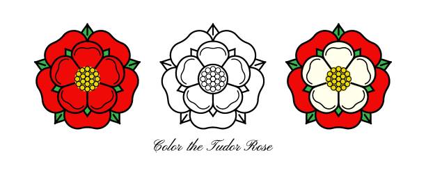 Tudoe rose of Englnd vector illustration. Tudor rose vector isolated icon. Traditional heraldic emblem of England. The war of roses of houses Lancaster and York. Lancaster, Lancashire stock illustrations