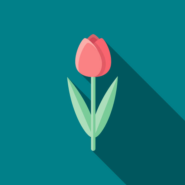 Tulip Flat Design Easter Icon with Side Shadow  easter sunday stock illustrations