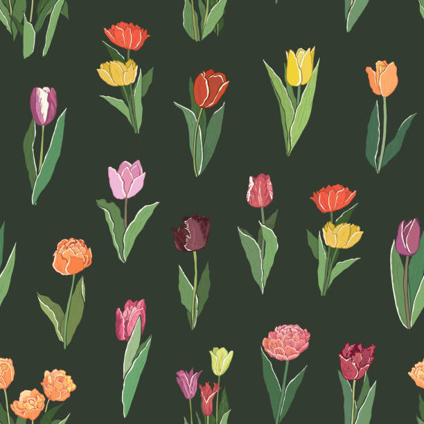 bildbanksillustrationer, clip art samt tecknat material och ikoner med tulip flower floral spring vector illustrations pattern - summer sweden