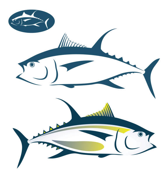 Download Best Yellow Fin Tuna Illustrations, Royalty-Free Vector Graphics & Clip Art - iStock
