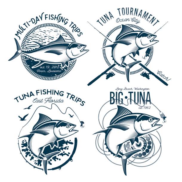 ilustraciones, imágenes clip art, dibujos animados e iconos de stock de diseños de vectores de atún. diseños de club de pesca deportiva. - atún pescado