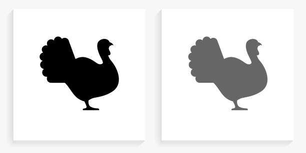 Turkey Black and White Square Icon Turkey Black and White Square Icon. This 100% royalty free vector illustration is featuring the square button with a drop shadow and the main icon is depicted in black and in grey for a roll-over effect. turkey stock illustrations