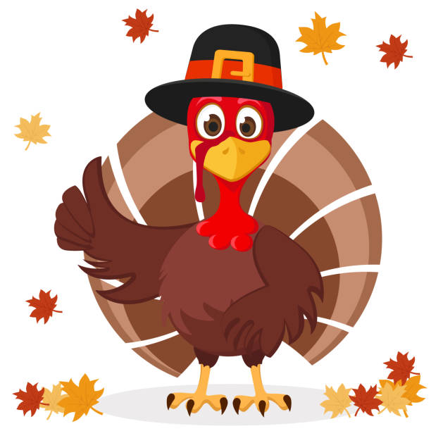 ilustrações de stock, clip art, desenhos animados e ícones de turkey in hat shows like on a white with autumn leaves. thanksgiving day. - turkey