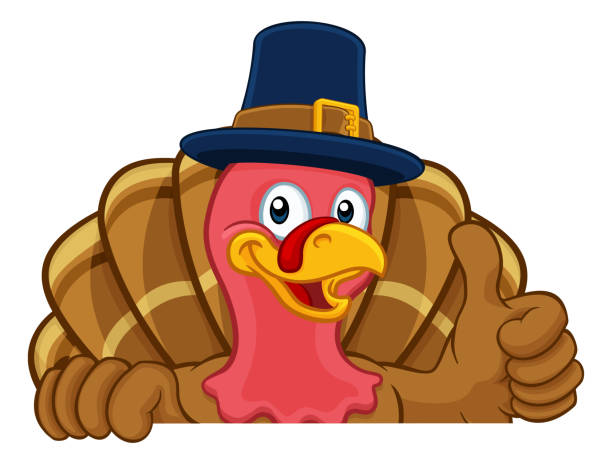 Turkey Pilgrim Hat Thanksgiving Cartoon Character Pilgrim Turkey Thanksgiving bird animal cartoon character wearing a pilgrims hat. Peeking over a background sign and giving a thumbs up turkey stock illustrations