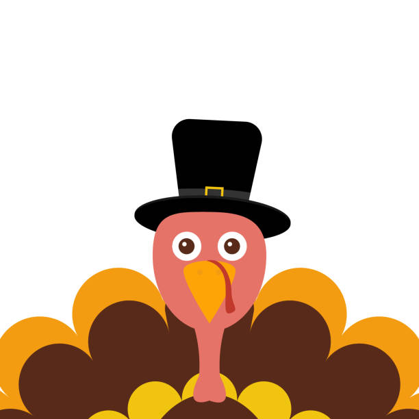 ilustraciones, imágenes clip art, dibujos animados e iconos de stock de pilgrimin de pavo en el día de acción de gracias - thanksgiving turkey