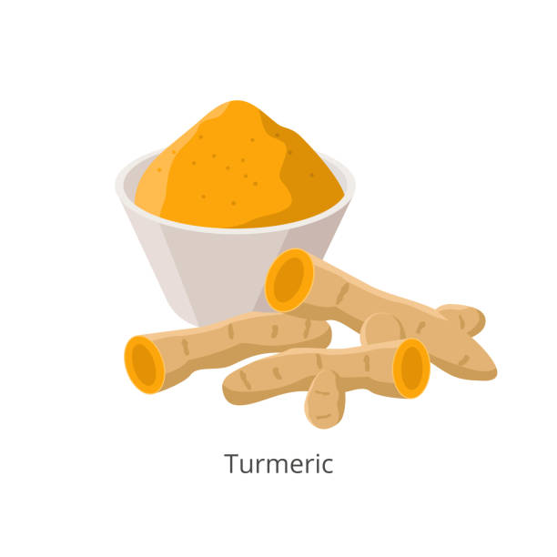 Turmeric rhizome and powder in flat design vector illustration isolated on white background. Turmeric rhizome and powder in flat design vector illustration isolated on white background curry powder stock illustrations