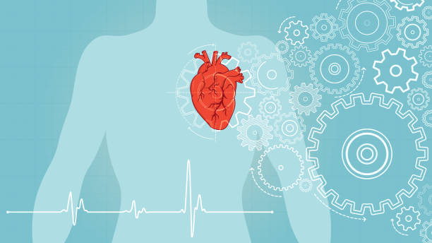 Turning gears on human heart vector art illustration