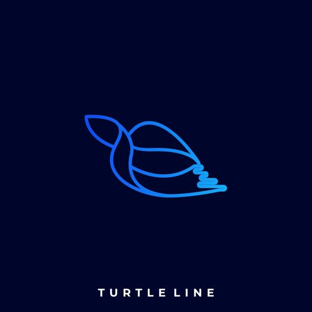 szablon wektora koncepcyjnego projektu żółwia - great barrier reef stock illustrations