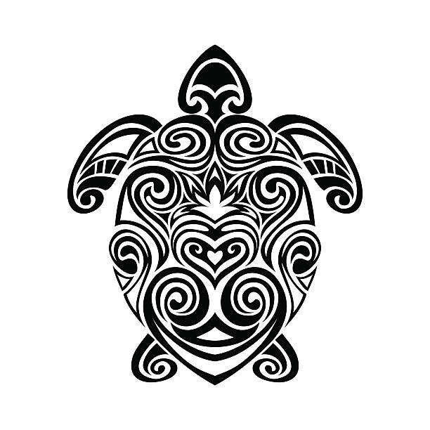 Best Sea Turtle Illustrations Royalty Free Vector