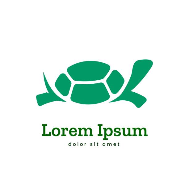 illustrazioni stock, clip art, cartoni animati e icone di tendenza di simbolo icona logo tartaruga - tartarughe