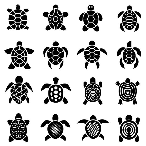 Turtle logo top view icons set, simple style Turtle logo top view icons set. Simple illustration of 16 turtle logo vector icons for web turtle stock illustrations