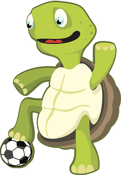 Turtle playing football  lepro stock illustrations