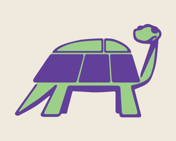 illustrazioni stock, clip art, cartoni animati e icone di tendenza di tartaruga - tartarughe