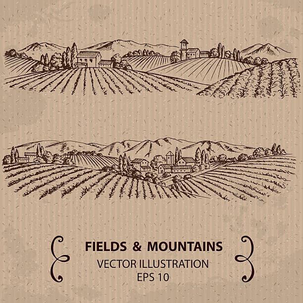 ilustrações, clipart, desenhos animados e ícones de toscana paisagem com campos e as montanhas. - farm