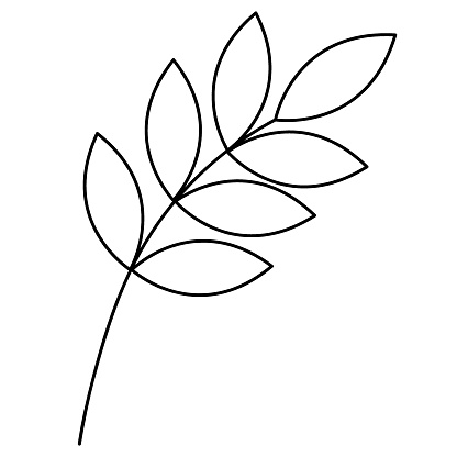Twig with leaves. Sketch. Vector illustration. Colorless plant. Leaves on the stem. Coloring book for children. Doodle style. Outlines on an isolated white background. Idea for web design.
