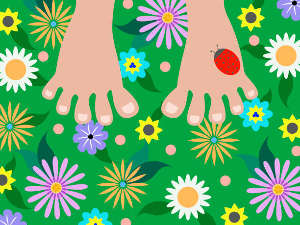 two bare feet close-up on a green meadow with bright colorful flowers Vector graphics - two bare feet close-up on a green meadow with bright colorful flowers and a red ladybug on the leg. Concept-summer bare feet stock illustrations