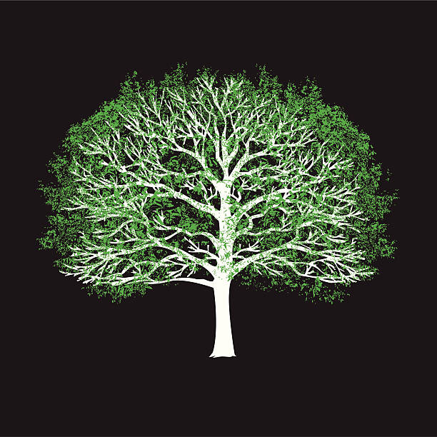 Two Color Tree - T-Shirt Design vector art illustration