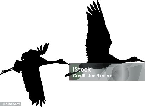 istock two cranes silhouette.black 1331676329
