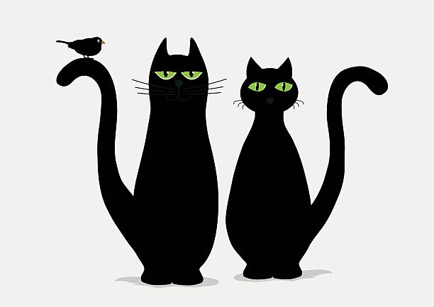 stockillustraties, clipart, cartoons en iconen met two cute black cats and bird - twee dieren