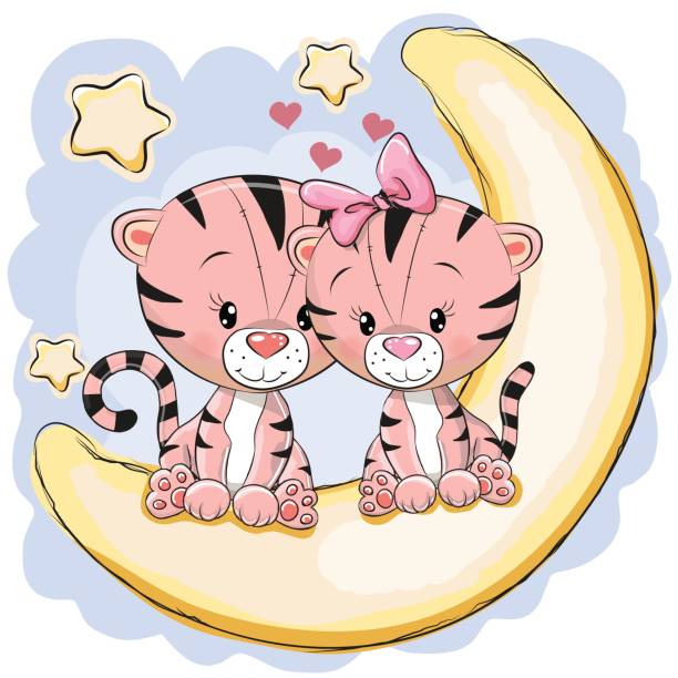 Two Cute Tigers on the moon Two Cute Tigers is sitting on the moon big fat girl drawing stock illustrations