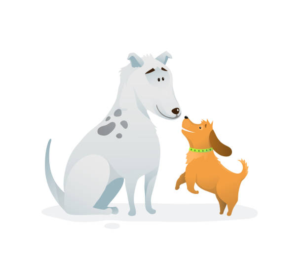stockillustraties, clipart, cartoons en iconen met twee honden dierlijke huisdierenpuppies die springende vrienden kleurrijke humoristische beeldverhaal spelen. - twee dieren