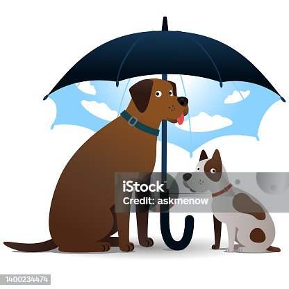 istock Two dogs sitting under umbrella 1400234474