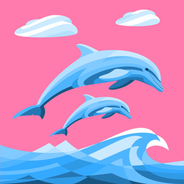 Best Pink Dolphin Illustrations, RoyaltyFree Vector