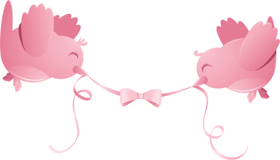 Two Happy Pink Birds with Ribbon Isolated