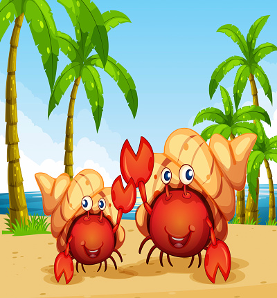 Two hermit crabs on the beach