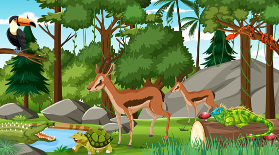 Two Impala with other wild animals in forest at daytime scene