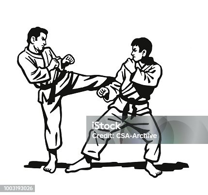 istock Two Men Practicing Karate 1003193026