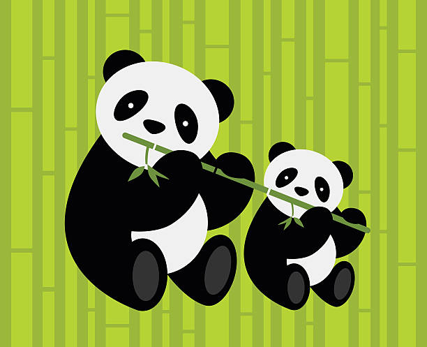 bildbanksillustrationer, clip art samt tecknat material och ikoner med two pandas. - panda