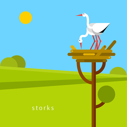 Two stork in the nest.