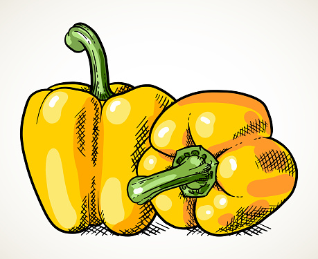 Two sweet peppers vegetable illustration