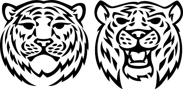 Two tiger heads