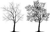 Illustration of tree silhouette. The archive consist of  EPS, PDF, SVG and hi-resolution JPG formats