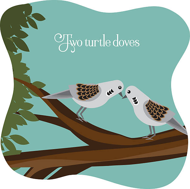 Two turtle doves on a branch vector art illustration