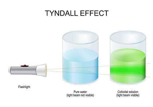 Tyndall effect. Science Experiment with two glasses with liquids and Flashlight. light beam in Pure water is not visible, in Colloidal solution light beam visible. vector poster for education