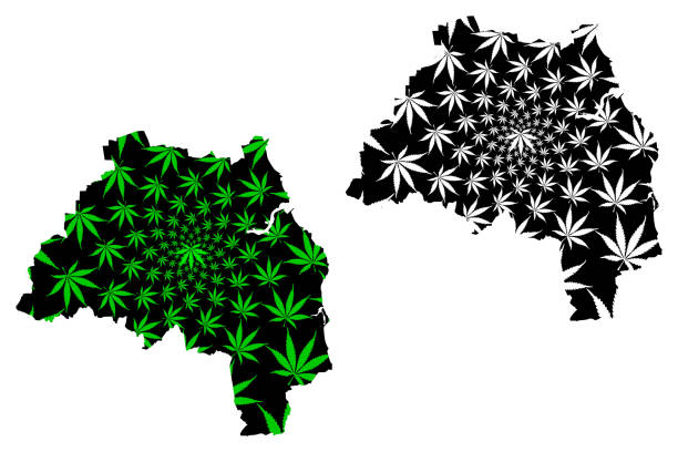 泰恩和磨損 （英國， 英國， 大都會縣） 地圖是設計大麻葉綠色和黑色， 南泰恩和磨損地圖由大麻 （馬里瓦納， thc） 樹葉 - sunderland 幅插畫檔、美工圖案、卡通及圖標