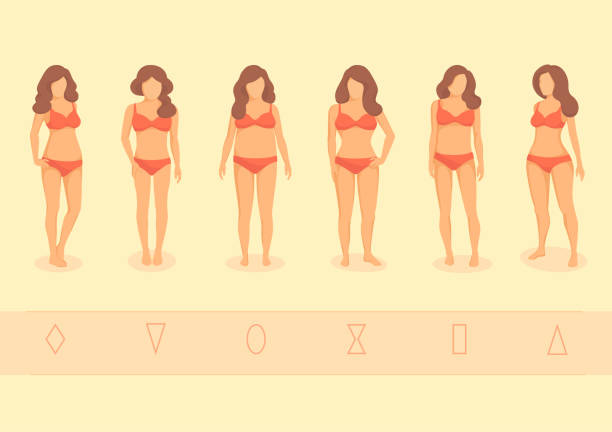 Type of female figures vector illustration set of fashionable girls in swimsuits. Type of female figures. Hourglass, triangle, inverted triangle, round, rectangle. Cartoon characters. Isolated. Shapes cartoon of fat lady in swimsuit stock illustrations