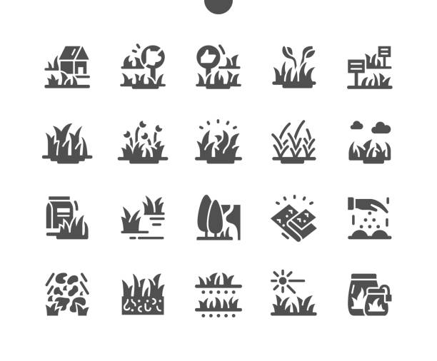 stockillustraties, clipart, cartoons en iconen met types tuin gras goed gemaakte pixel perfect vector solid icons 30 2x grid voor web graphics en apps. eenvoudig minimaal pictogram - onkruid