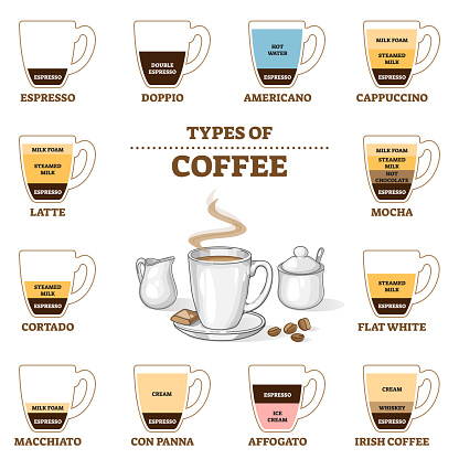 Types of coffee and cafe preparation and proportion guide outline diagram