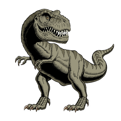 Tyrannosaurus rex or t rex dinosaur standing isolated on white background. Vector illustration.