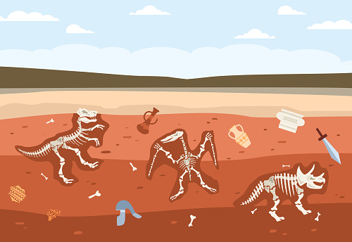 Underground soil with fossil animals skeletons and historical ancient artifacts.